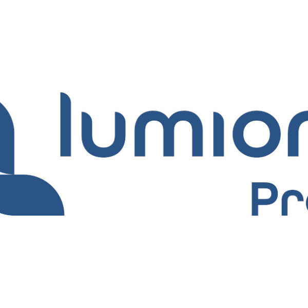 Lumion PRO 1-Year Commercial License Key.